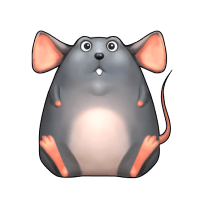 Rat