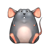 Rat