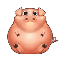 Pig