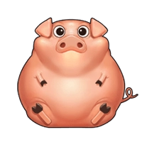 Pig