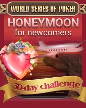 HONEYMOON FOR NEWCOMERS