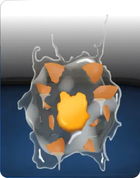 Egg