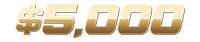 $5,000