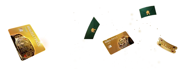 WSOP Daniel Negreanu / BRACELET PASS CARD / PING PASS