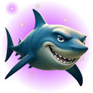 Shark